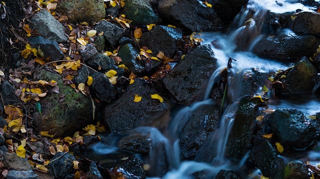 waterfall, leaves, water